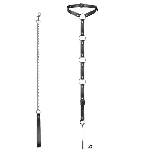 Leash with 5853 Kinky and Anal EverydayUse Collar Hook 0131